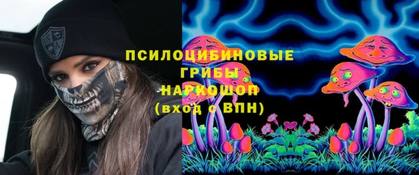 таблы Приозерск