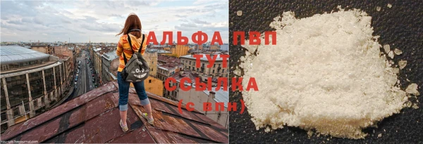 соль ск Пролетарск
